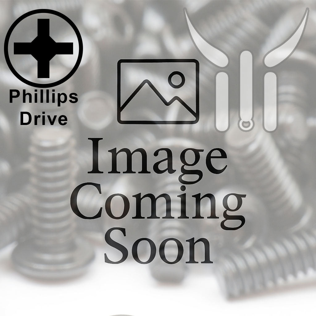 Bulk 1/4"-20 Pan Head Phillips Thread Rolling Screws – Zinc CR+3 w/ Wax – Monster Bolts