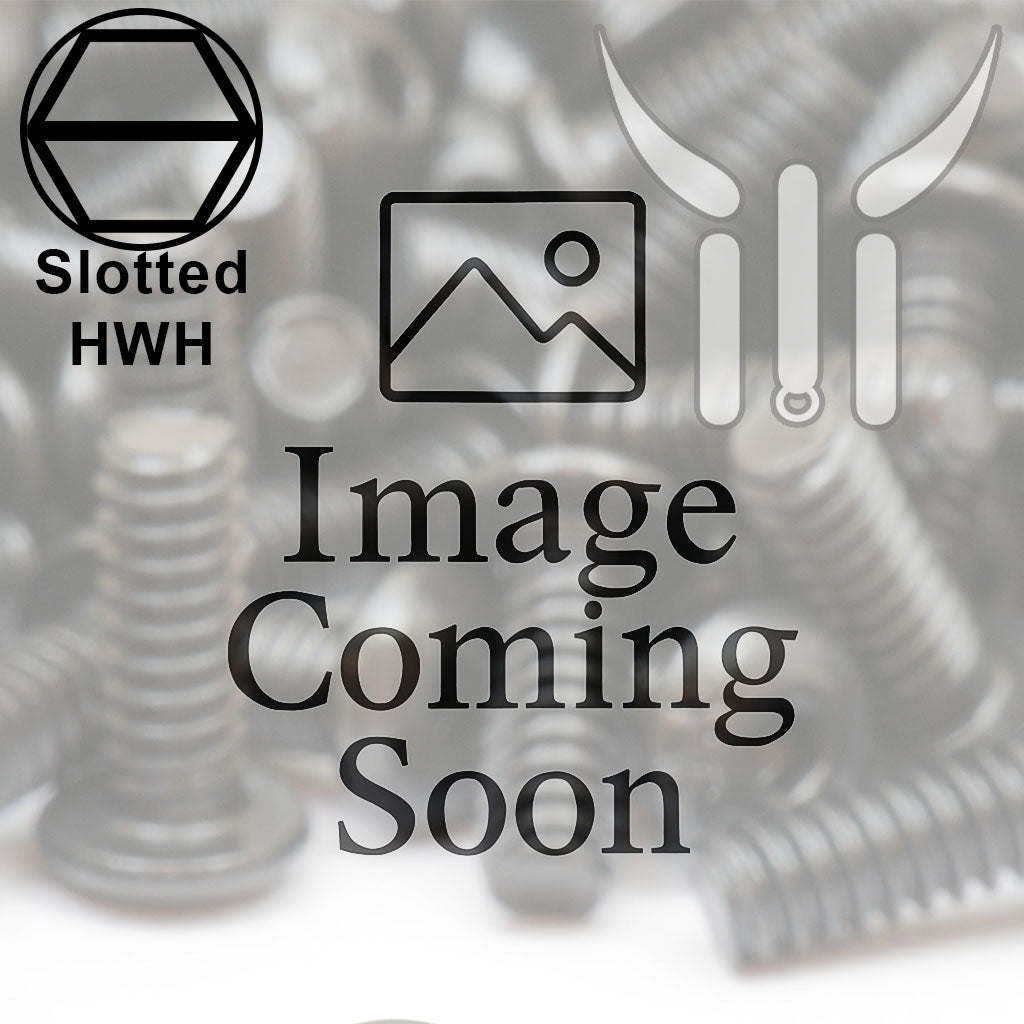 Bulk #6-20 Type B Slotted Indent Hex Washer Head Self-Tapping Screws | Zinc CR+3