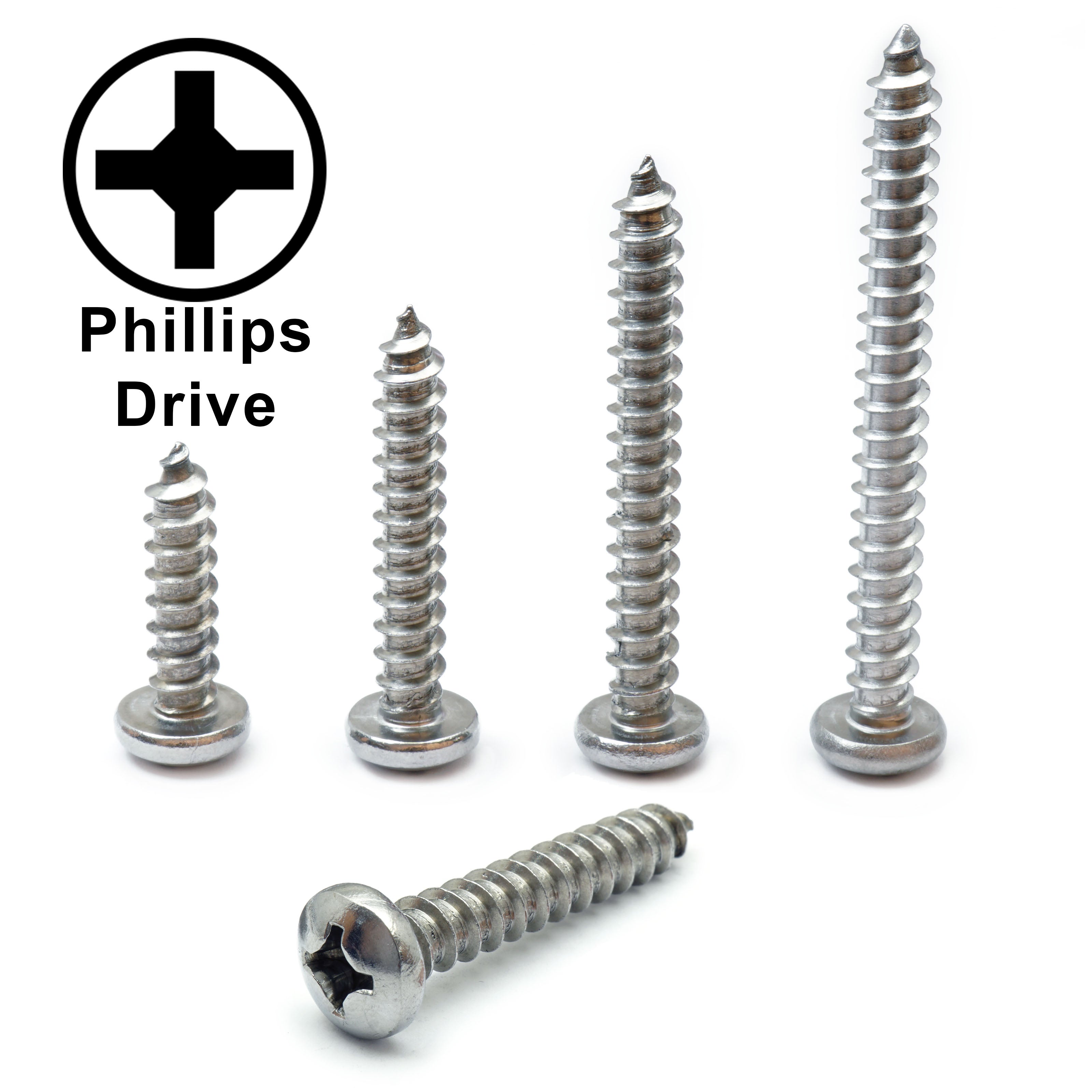 Bulk #2 Phillips Pan Head Self-Tapping Screws – Type A – 18-8 Stainless Steel – Monster Bolts