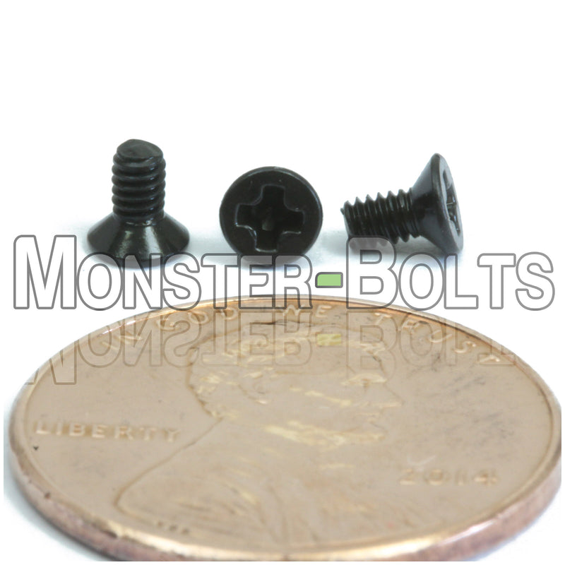Black M2 x 4mm Phillips Flat Head machine screws.