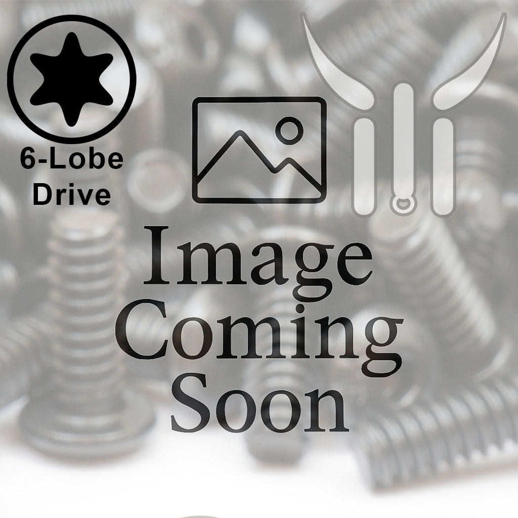 6Lobe (Torx) screws sold by Monster Bolts