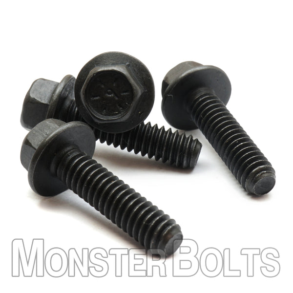 Black Bolt 2box分 ブラック ホワイト 各2BOX分 Black Bolt White Flare