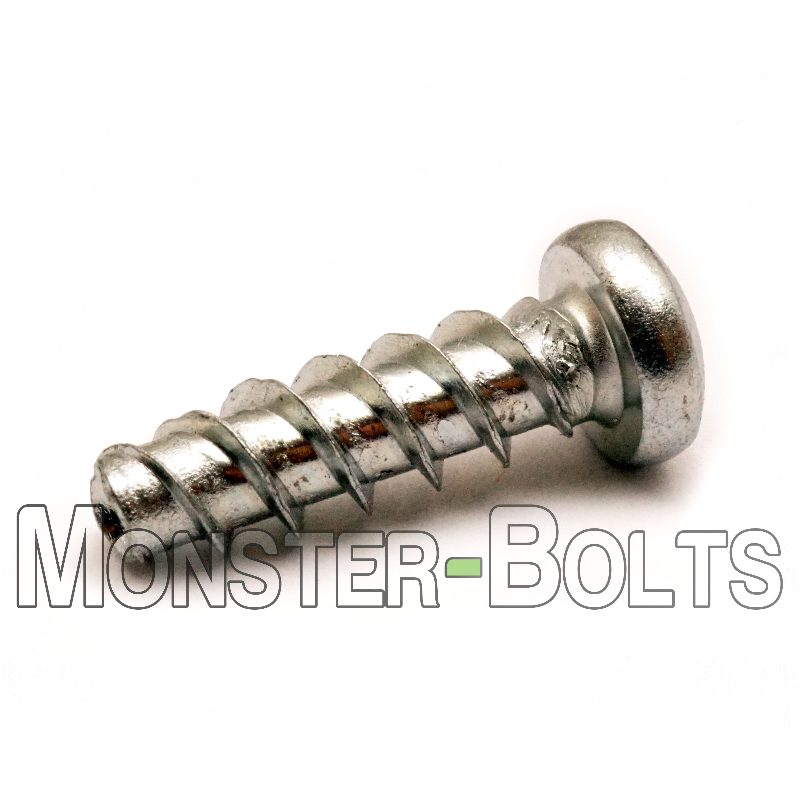 Metal screw on a white background with 'Monster Bolts' branding.