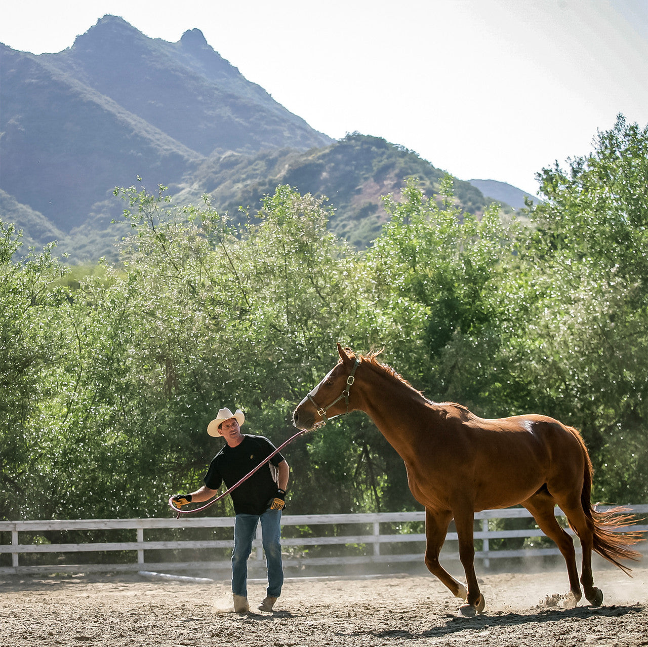 🧤 Bulk Ironclad Ranchworx® Leather Work Gloves (RWG2) – Premium Goatskin – S–XXXL – Monster Bolts