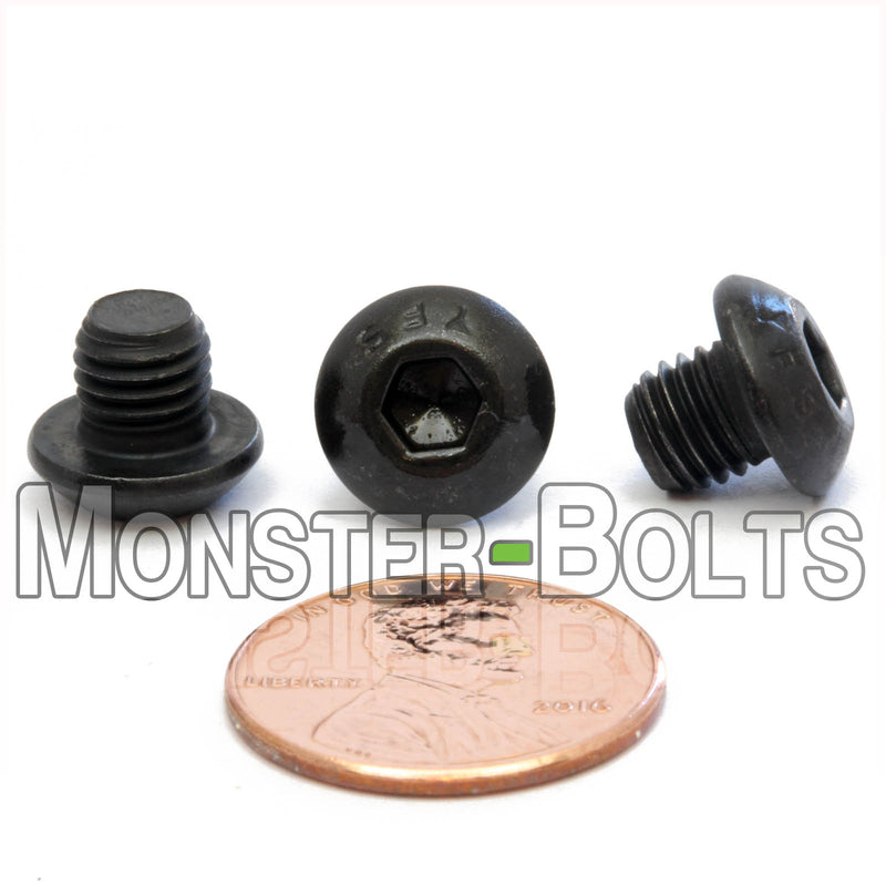 1/4-28 x 1/4" Socket Button Head screw, alloy steel with black oxide finish. Shown with US penny for screw size.