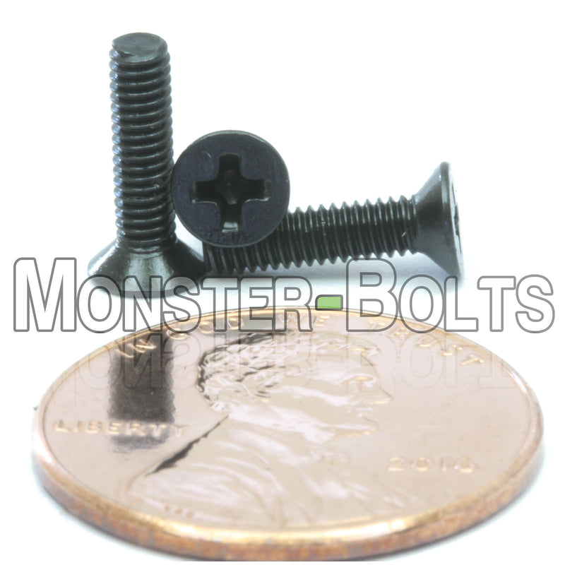 Black metric M2.5 x 10mm Phillips Flat Head machine screws.