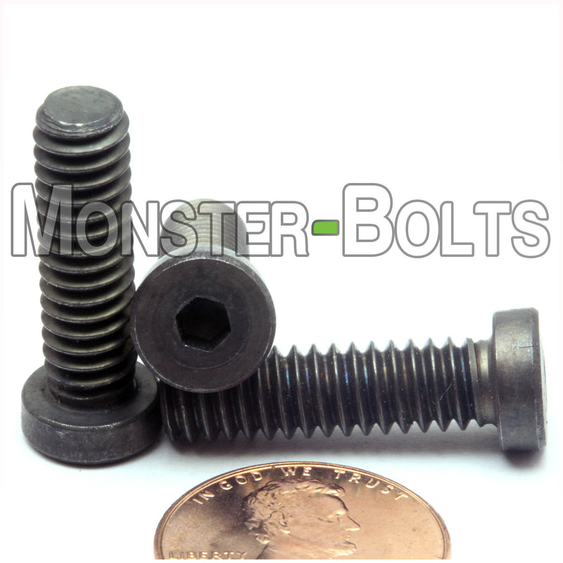 1/4-20 X 7/8" Low Head Socket Cap screws Alloy Steel w/ Black Oxide, Coarse Thread - Monster Bolts