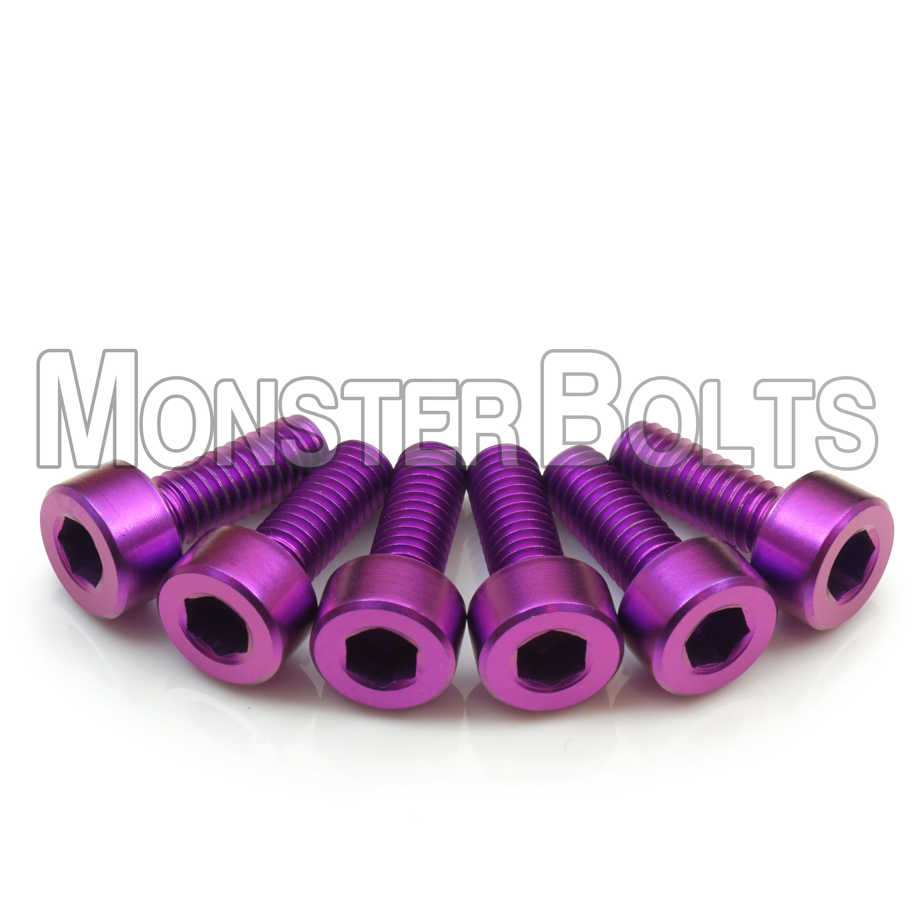 Purple Titanium Floyd Rose Tremolo Intonation screws.