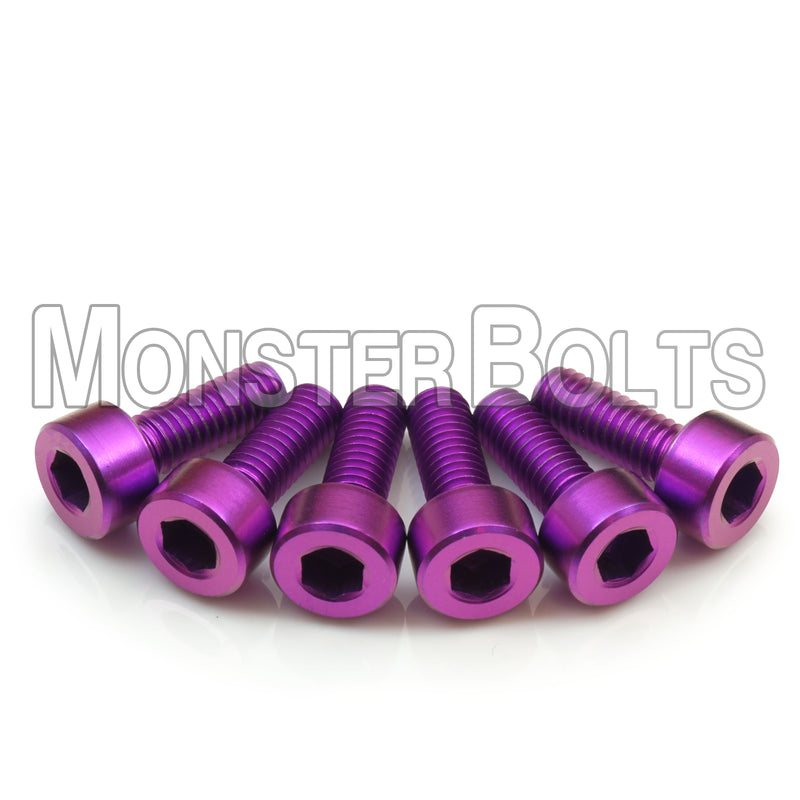 Purple Titanium Floyd Rose Tremolo Intonation screws.