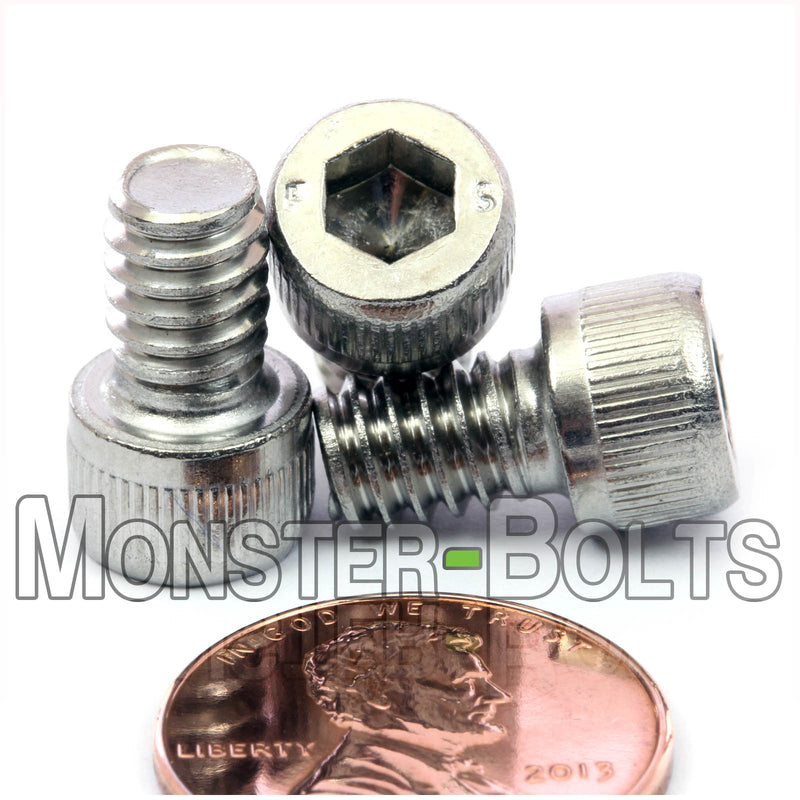 Stainless Steel 1/4-20 x 3/8" socket Head screws, with US penny for size.