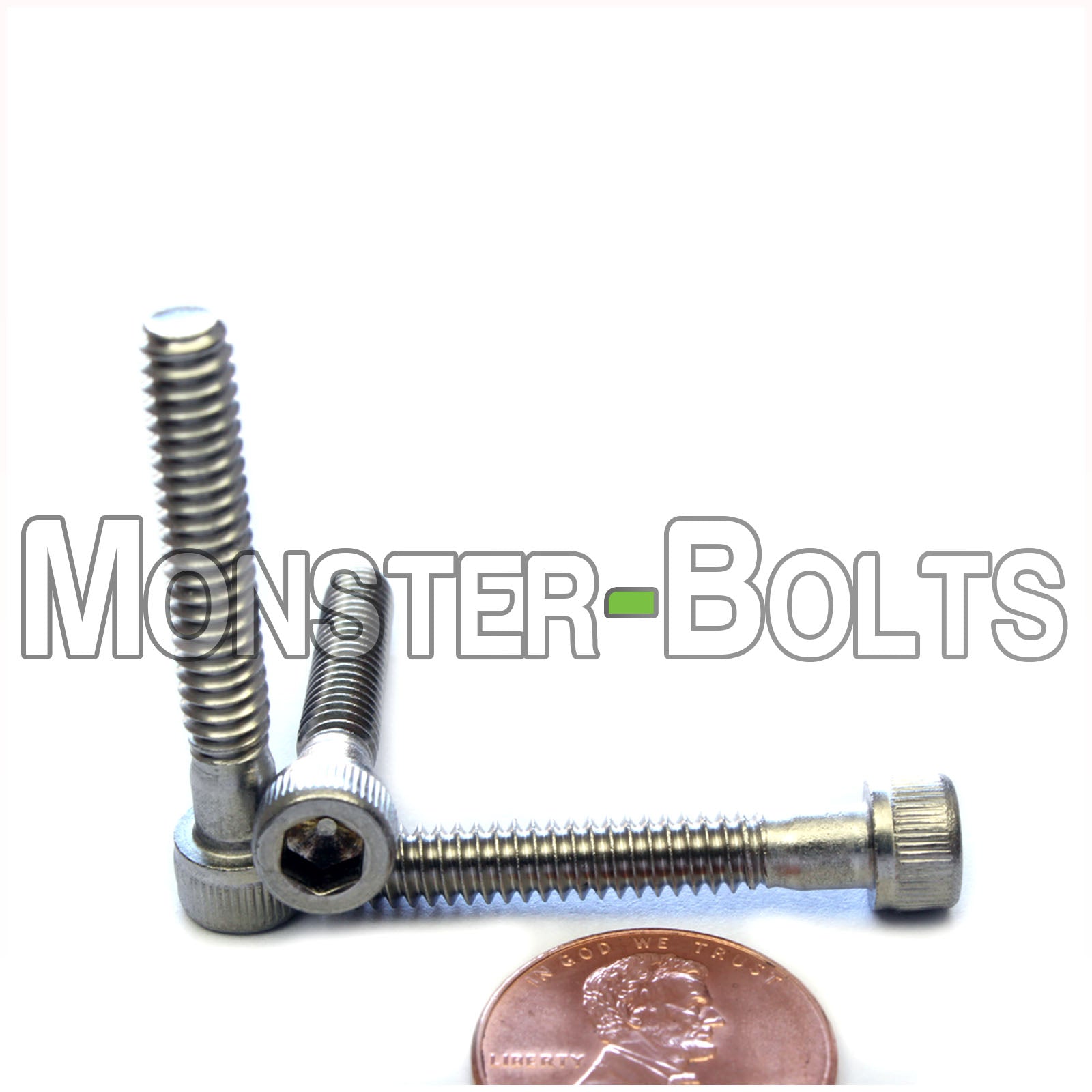 Stainless Steel #10-24 x 1-1/4 in. socket head screws, with US penny for size.